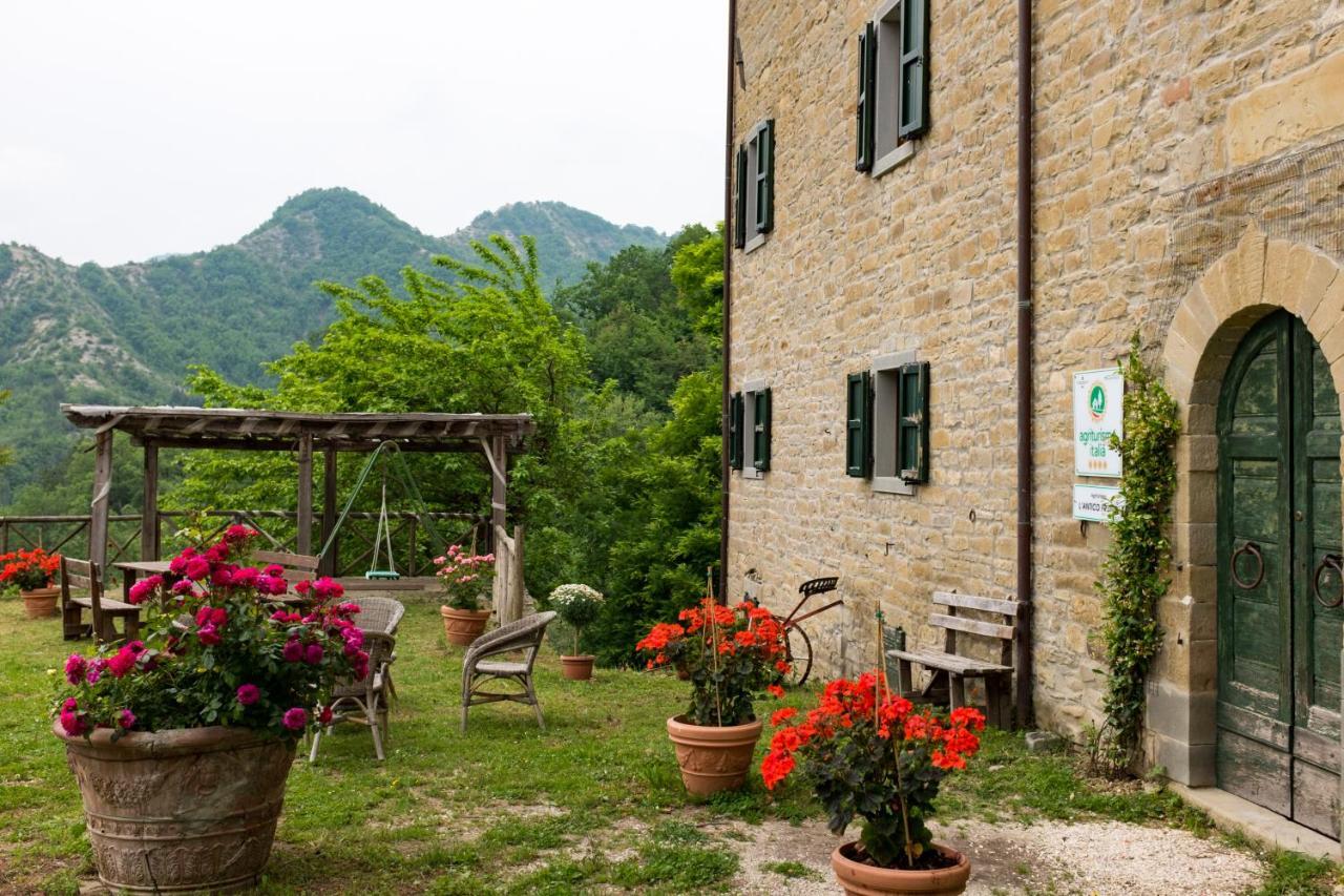 Agriturismo L'Antico Frutto Premilcuore Exterior photo